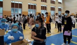 俄罗斯新游爆料最新消息,神秘力作即将亮相，颠覆传统游戏体验